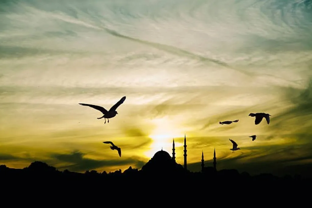 Yazı